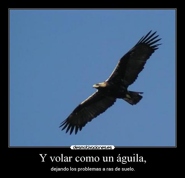 Y volar como un águila, - dejando los problemas a ras de suelo.