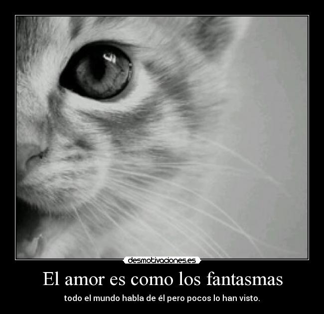 El amor es como los fantasmas - 