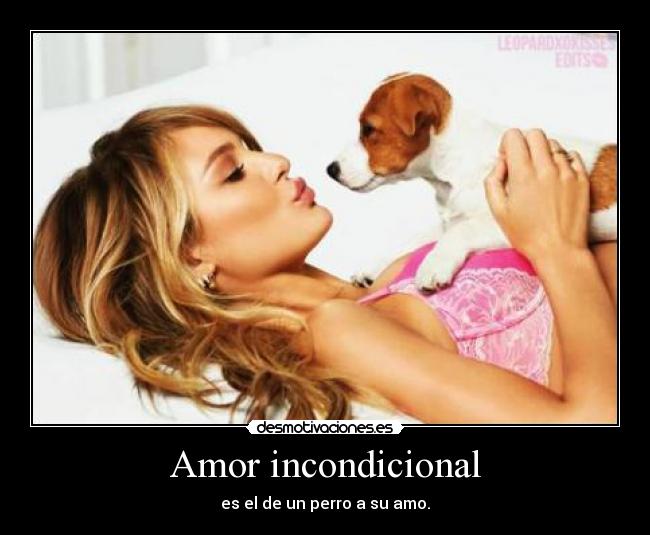 Amor incondicional - es el de un perro a su amo.