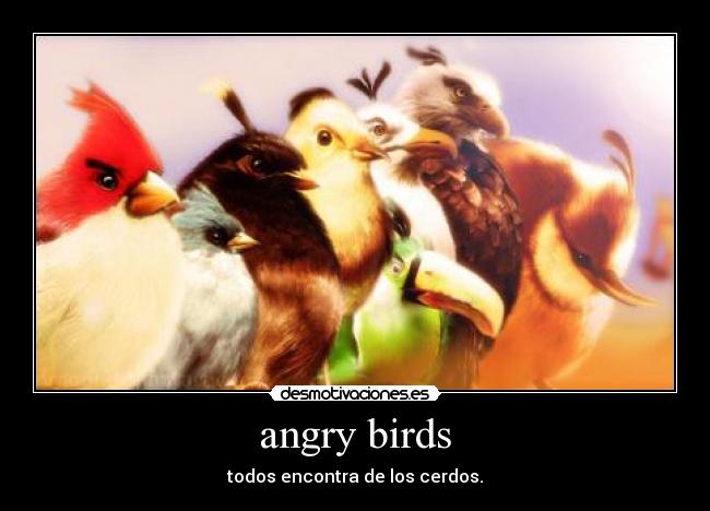 angry birds - todos encontra de los cerdos.