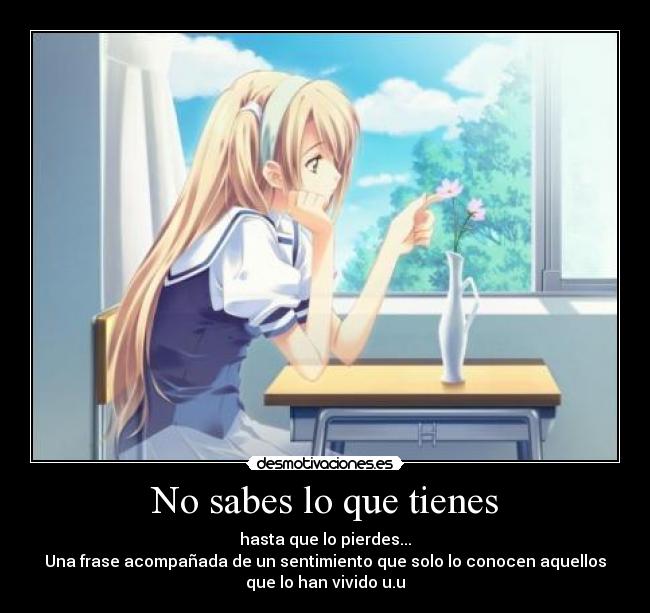 No sabes lo que tienes -