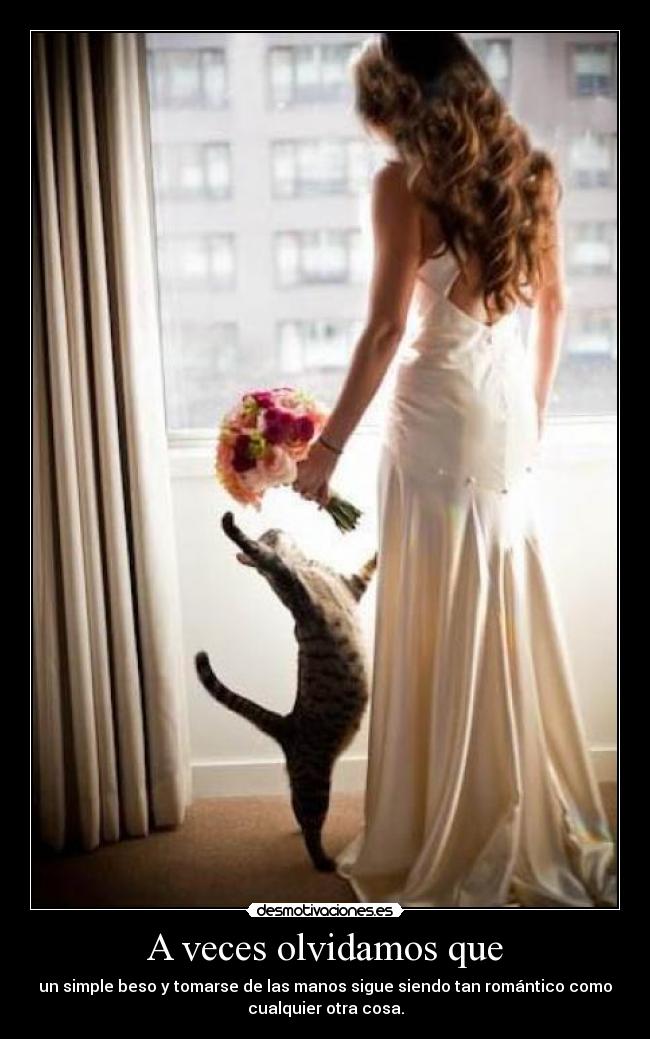 A veces olvidamos que - 