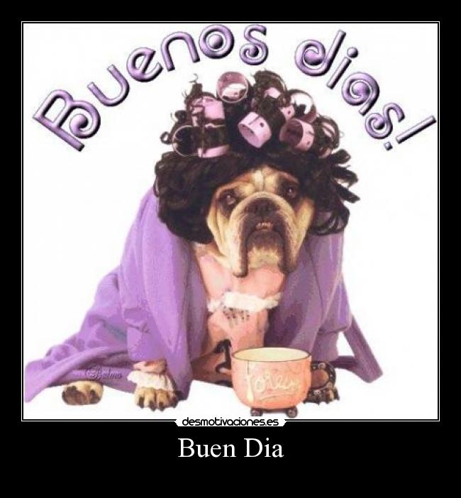 Buen Dia -