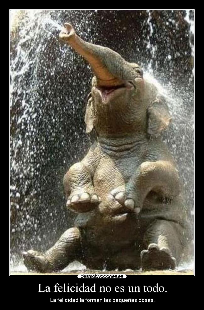 La felicidad no es un todo. - La felicidad la forman las pequeñas cosas.