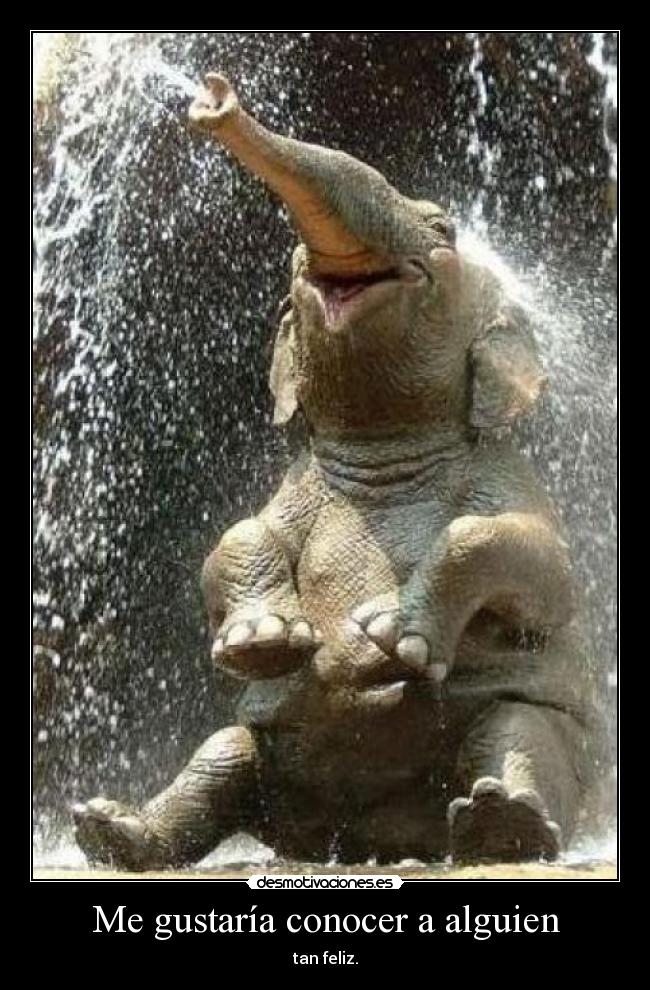 Me gustaría conocer a alguien - tan feliz.