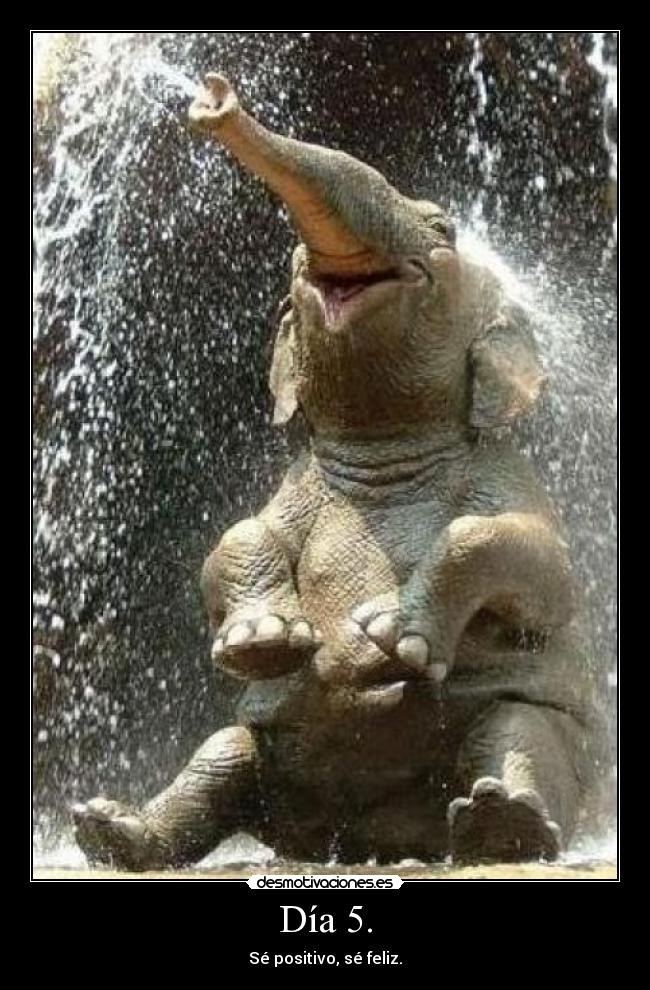 Día 5. - Sé positivo, sé feliz.