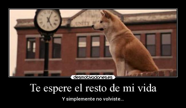 Te espere el resto de mi vida -