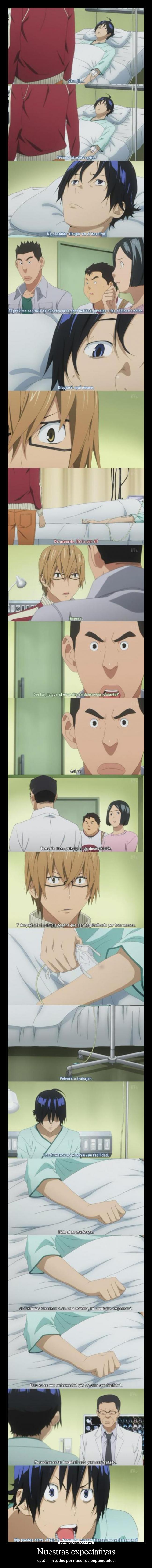 Nuestras expectativas -