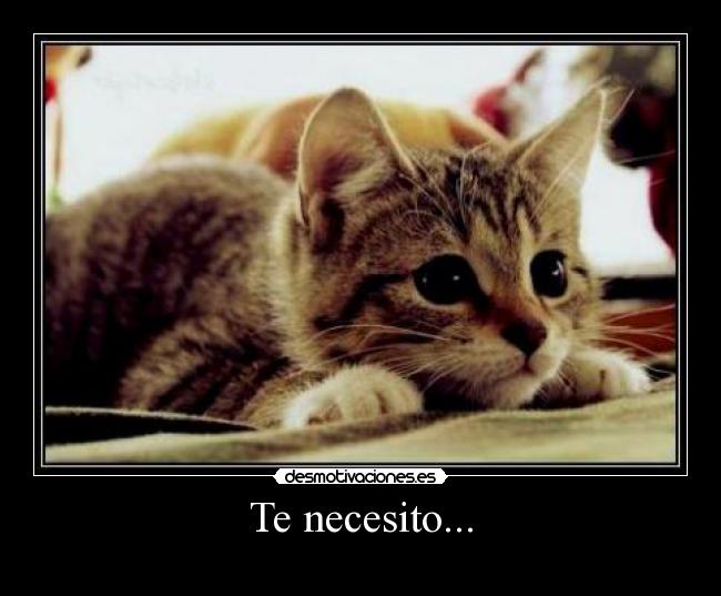 Te necesito... -