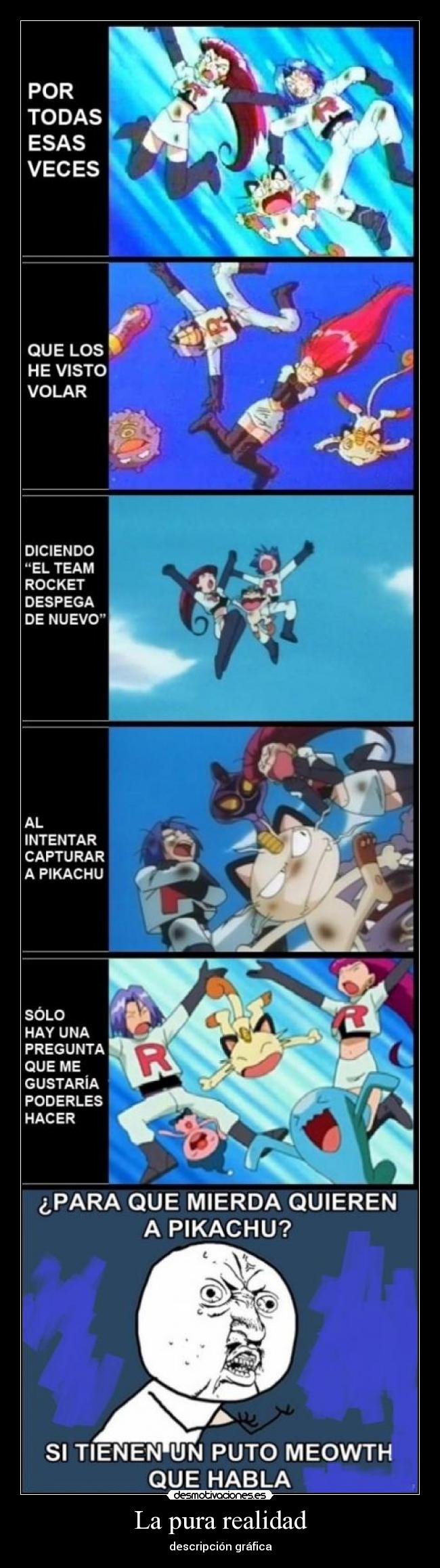 La pura realidad - descripción gráfica