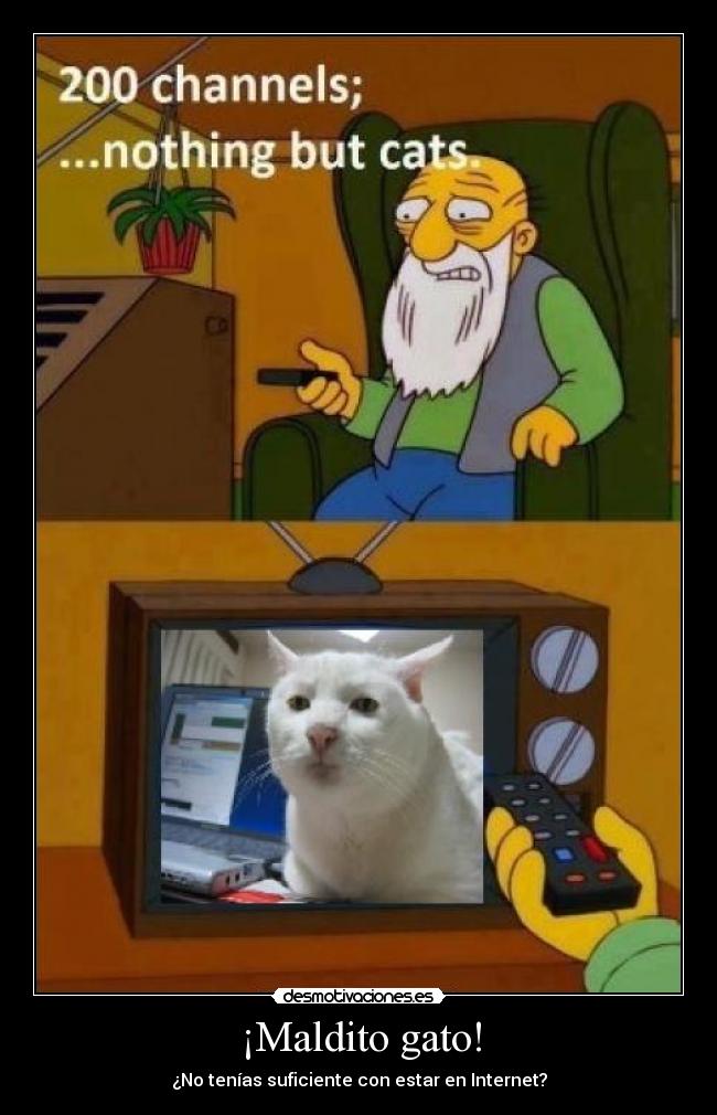 ¡Maldito gato! -