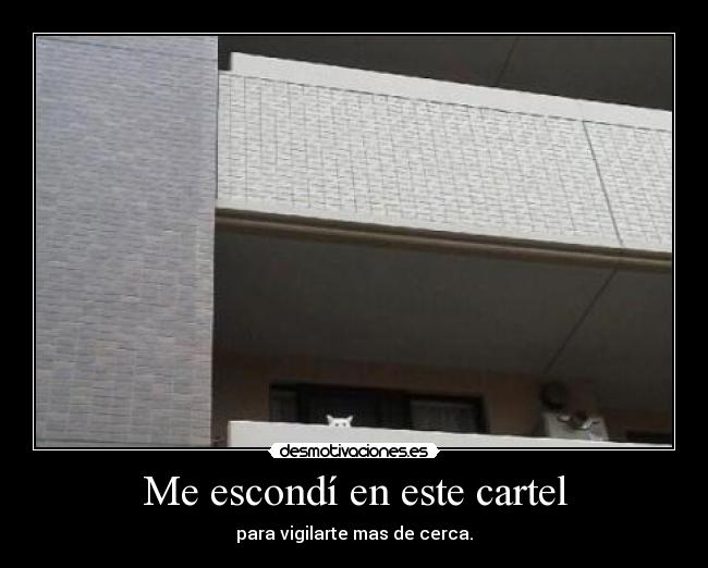 Me escondí en este cartel -