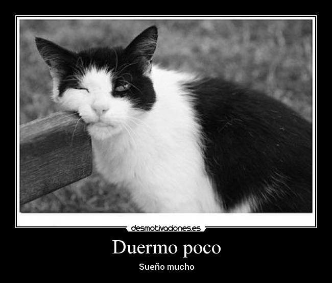 Duermo poco - Sueño mucho