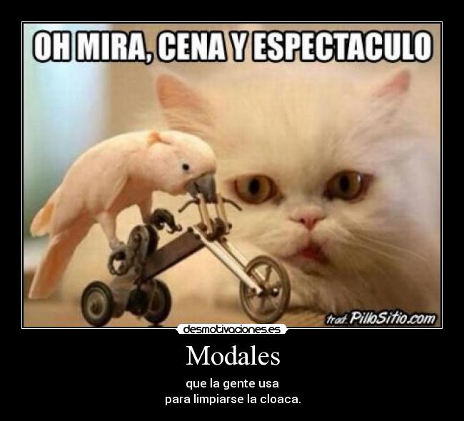 carteles los modales siguen infravalorados sonap desmotivaciones