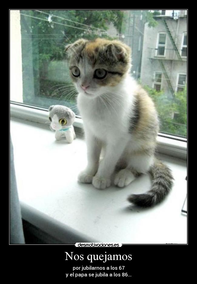 carteles ironia mode sonap desmotivaciones