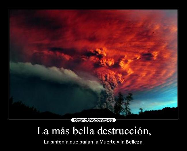 carteles erupcion volcan puyehue chile 2011 desmotivaciones