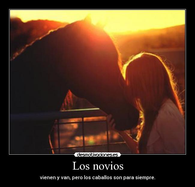 Los novios - 