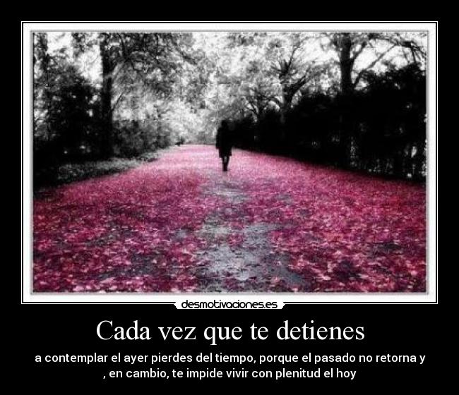 Cada vez que te detienes - 