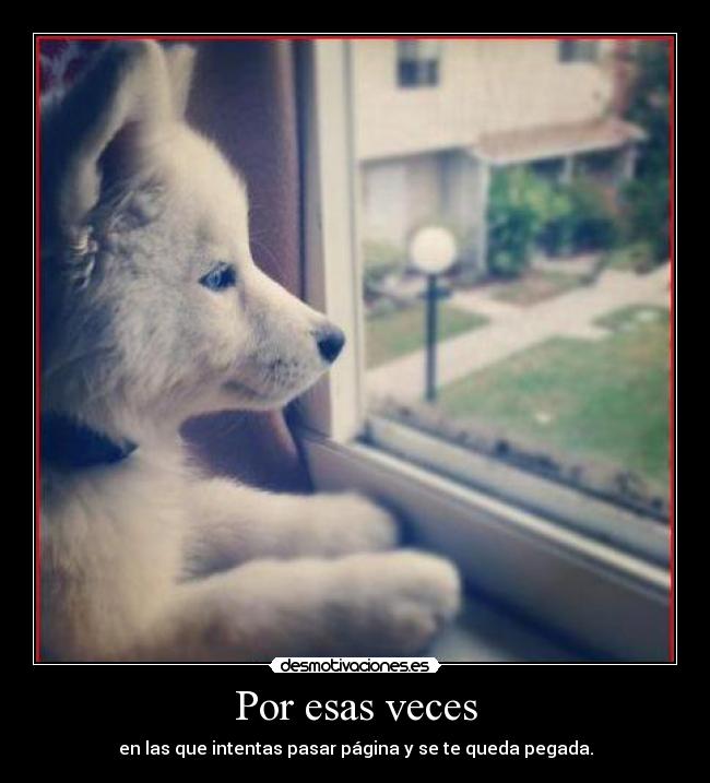 Por esas veces - en las que intentas pasar página y se te queda pegada.