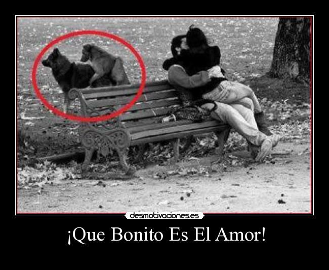 ¡Que Bonito Es El Amor! -