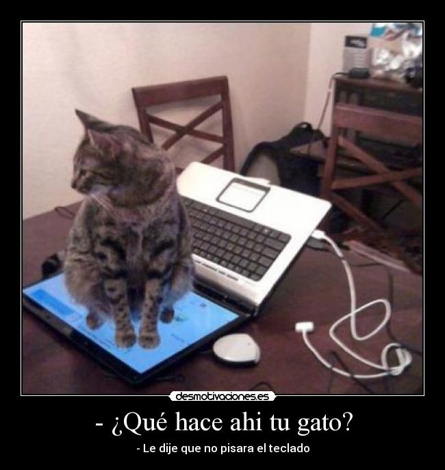 - ¿Qué hace ahi tu gato? - - Le dije que no pisara el teclado