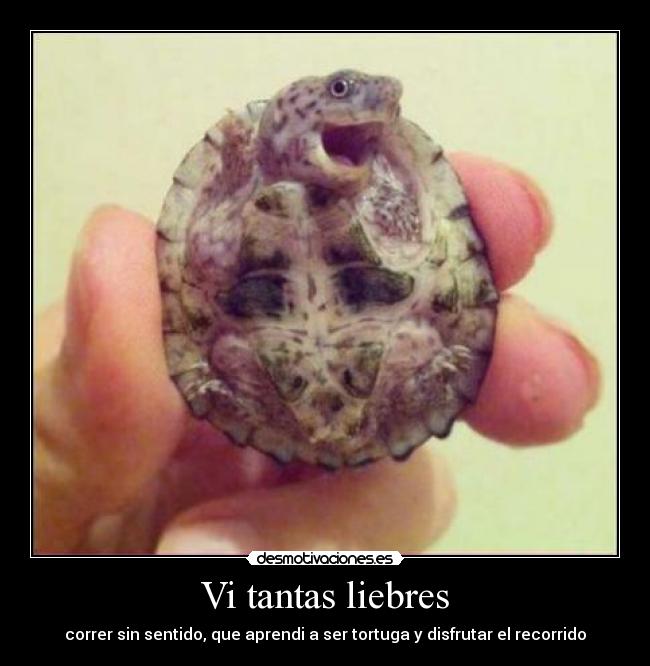 carteles heroes verdaderos desmotivaciones