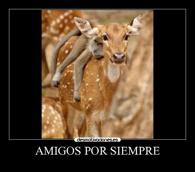 carteles amigos 4e3r423 desmotivaciones