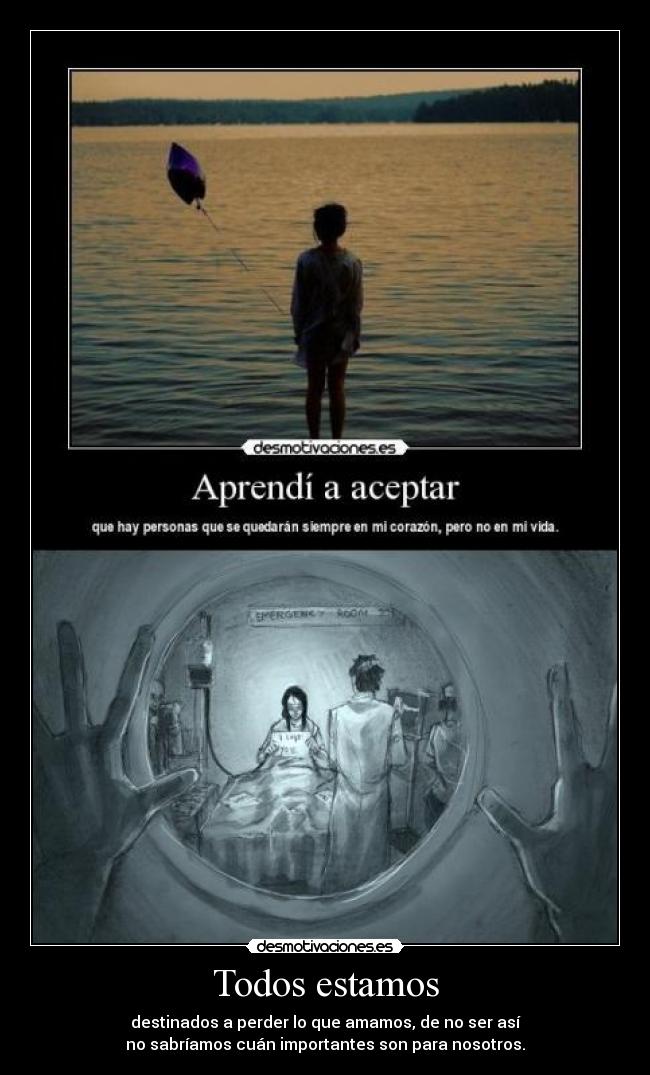 carteles iloveyou goodbye destiny circleoflife desmotivaciones