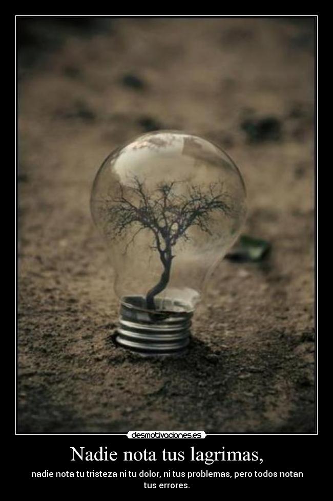 Nadie nota tus lagrimas, - nadie nota tu tristeza ni tu dolor, ni tus problemas, pero todos notan tus errores.