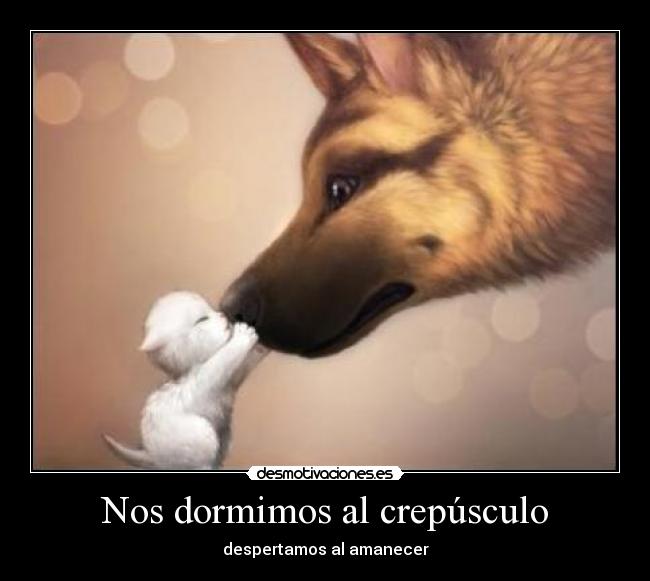 Nos dormimos al crepúsculo - 