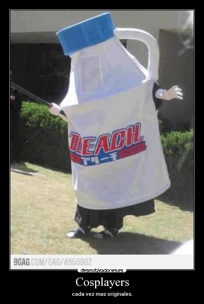 carteles anime manga otaku bleach breemkurosaki raptorhunters harukaze muwigaraklan lol cosplayers desmotivaciones