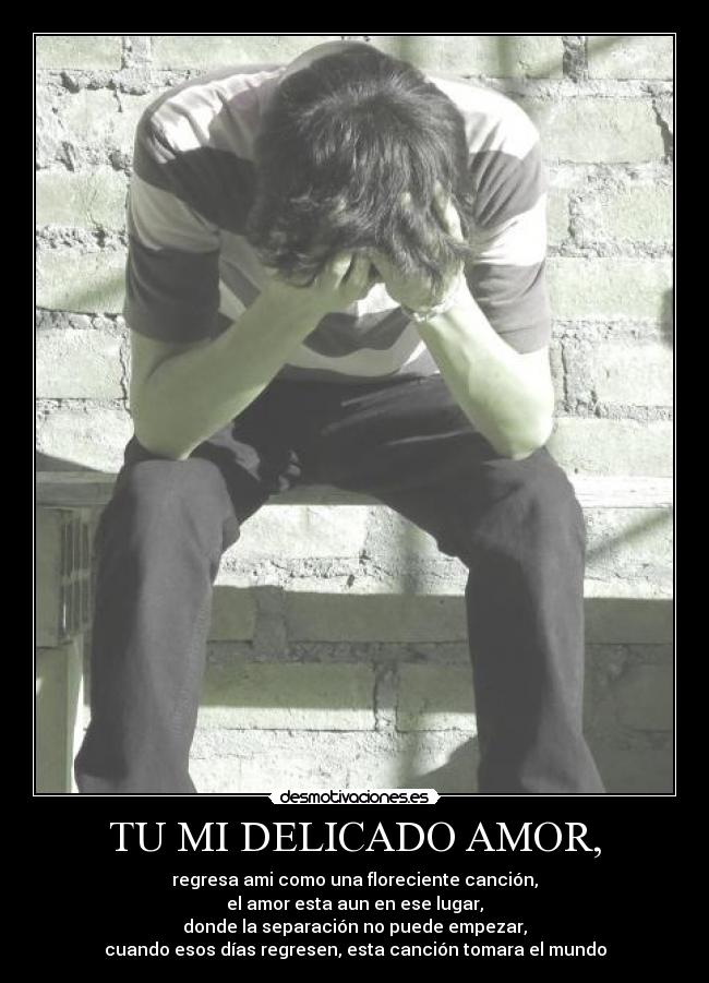 TU MI DELICADO AMOR, - regresa ami como una floreciente canción,
el amor esta aun en ese lugar,
donde la separación no puede empezar,
cuando esos días regresen, esta canción tomara el mundo