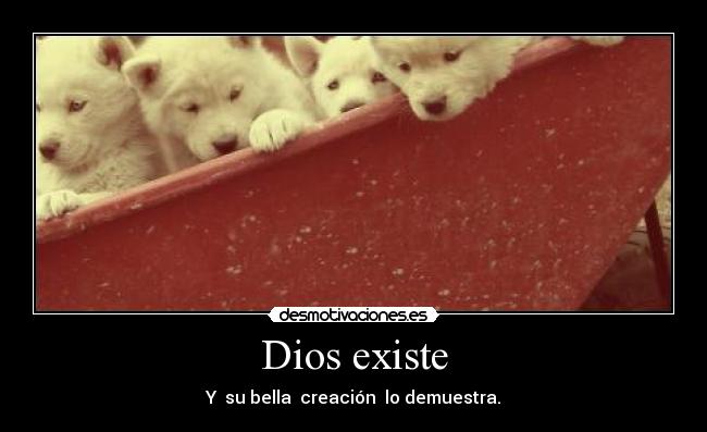 Dios existe - Y su bella creación lo demuestra.