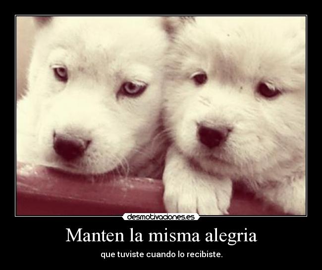 Manten la misma alegria - que tuviste cuando lo recibiste.