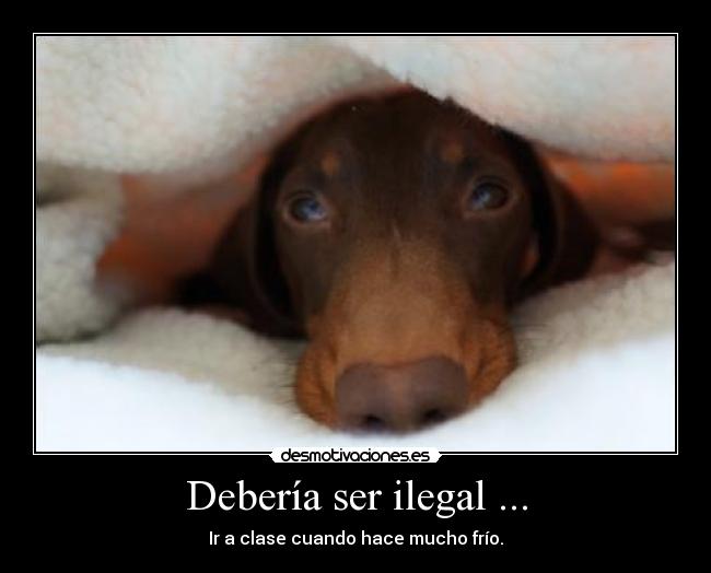 Debería ser ilegal ... - 