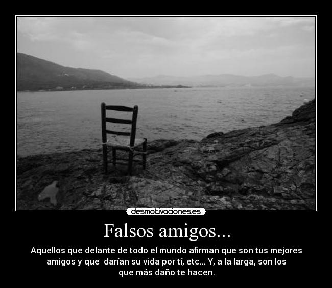 Falsos amigos... - 