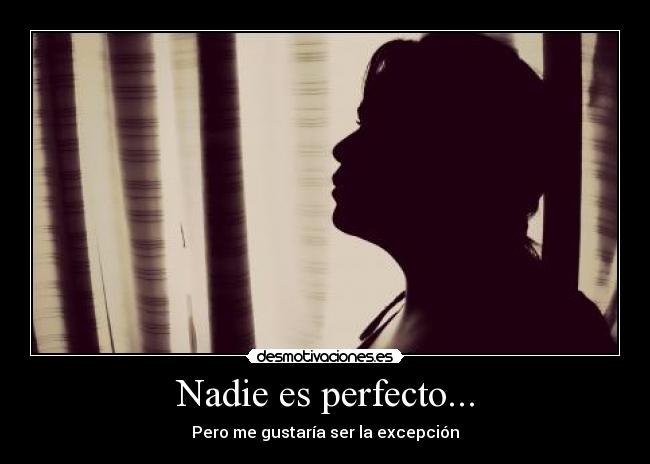 Nadie es perfecto... - 