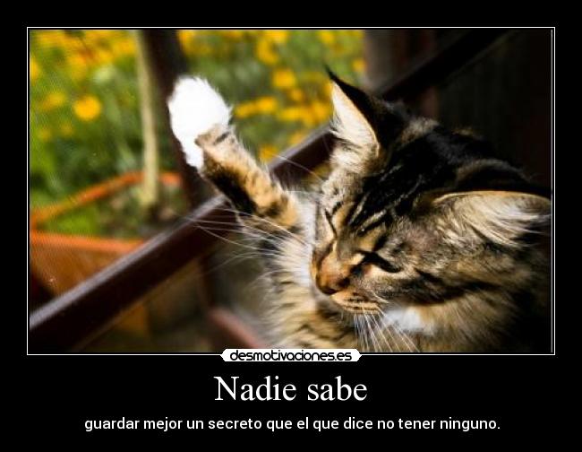 Nadie sabe - guardar mejor un secreto que el que dice no tener ninguno.