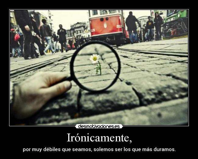 carteles desmo02 desmotivaciones