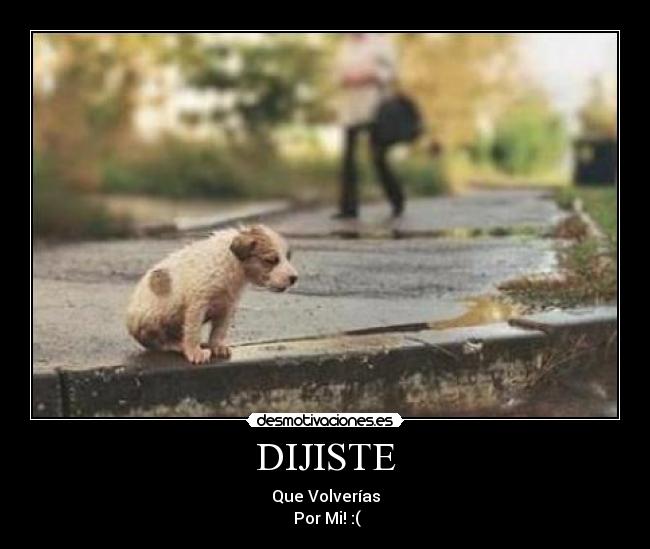 DIJISTE - 