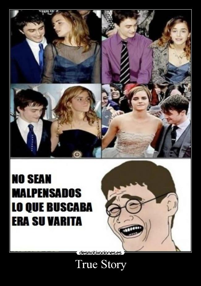 carteles harry potter desmotivaciones