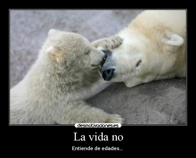 La vida no -