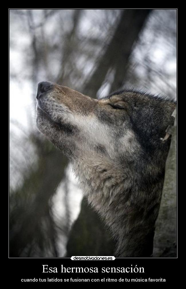 Esa hermosa sensación -