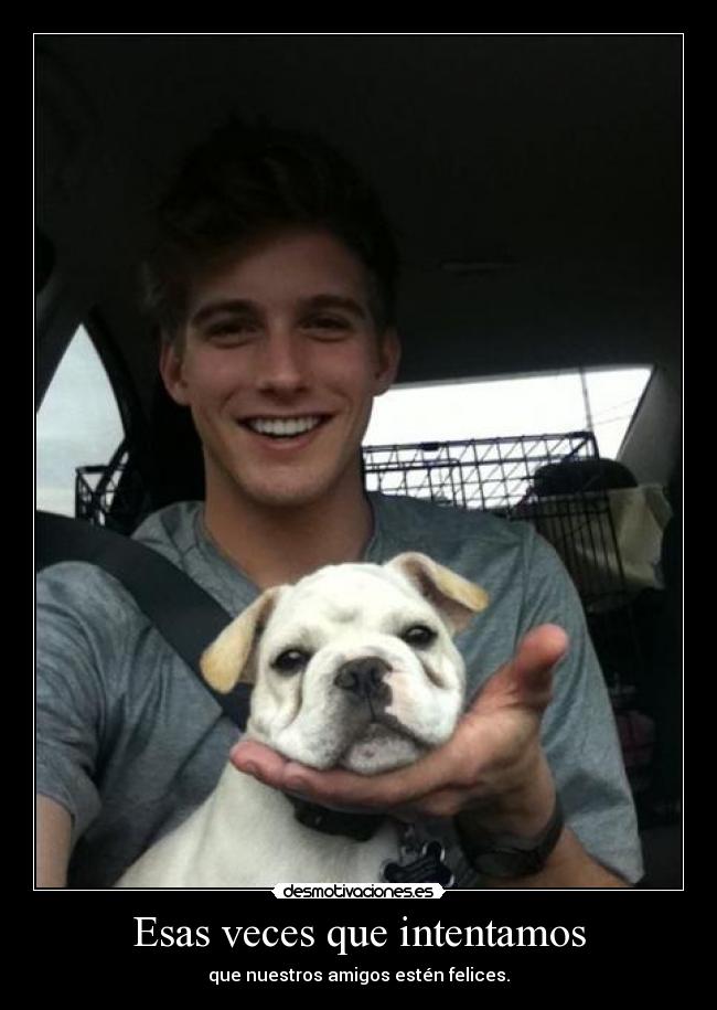 Esas veces que intentamos - que nuestros amigos estén felices.