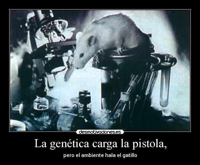 La genética carga la pistola, - pero el ambiente hala el gatillo