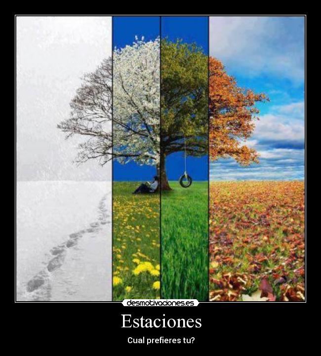 Estaciones - 