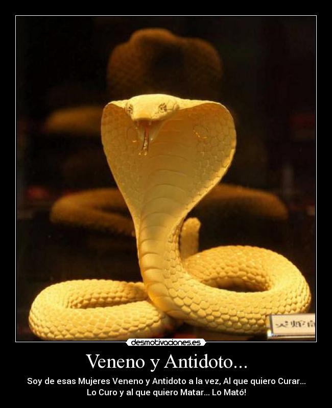 Veneno y Antidoto... -
