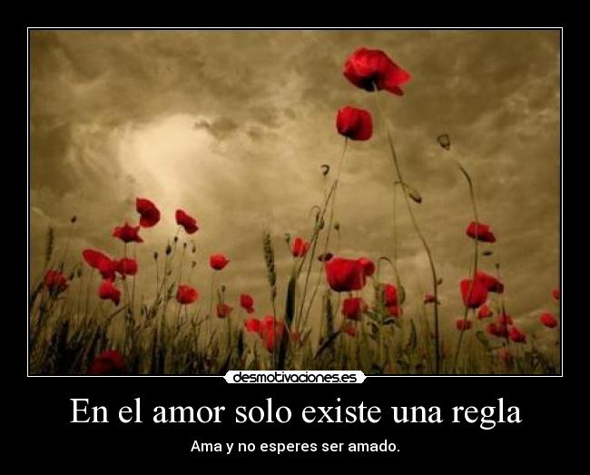 En el amor solo existe una regla -