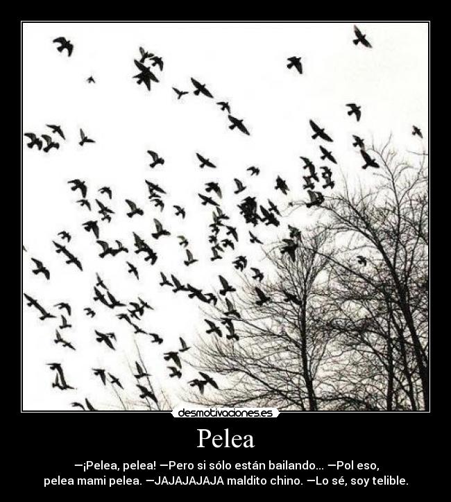 Pelea - —¡Pelea, pelea! —Pero si sólo están bailando... —Pol eso,
pelea mami pelea. —JAJAJAJAJA maldito chino. —Lo sé, soy telible.