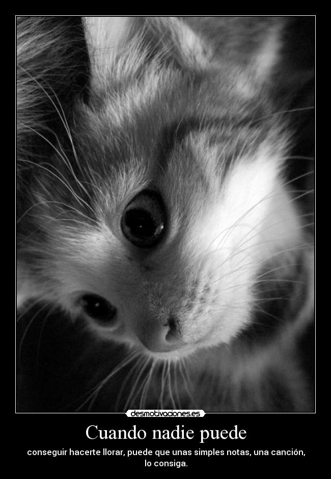 Cuando nadie puede - conseguir hacerte llorar, puede que unas simples notas, una canción, lo consiga.